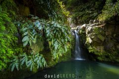 Cascade-aux-Acores2026-04-01-07-57-21-BR1S3