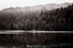 Lac-Canario_O7A3689