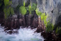 Orgues-basaltiques_O7A3546
