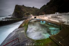 Piscine-naturelle_O7A7884