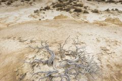 Désert des Bardenas