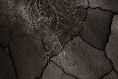 Désert des Bardenas