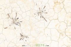 Désert des Bardenas