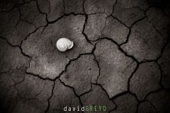 Désert des Bardenas