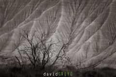 Désert des Bardenas