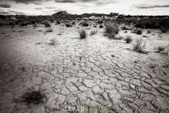 2026-02-10-16-38-58-BR1S3