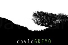 Arbre en ombre chinoise