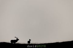 O7A5357