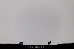 O7A7509
