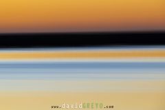 Aube-camarguaise_O7A6252