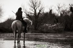 Gardian_O7A0236