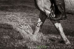Gardian_O7A1150