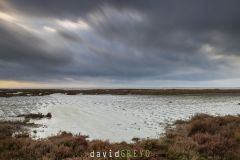 Etang-de-Vaccares_O7A8409