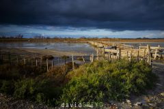 Parc de pâturage de Camargue