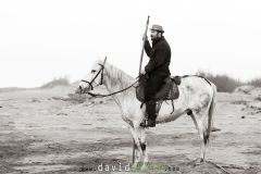 Gardian avec ses chevaux de Camargue