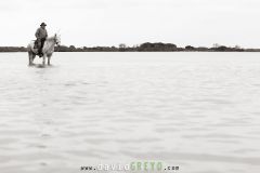 Gardian sur son cheval dans un étang de Camargue