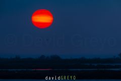Lever de soleil sur la Camargue