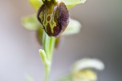 2025-05-19-13-17-59-CS4