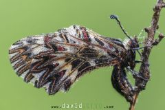 2025-05-19-13-37-33-BR8S4