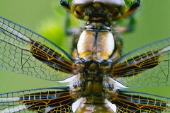 2025-05-19-18-55-59-CS3