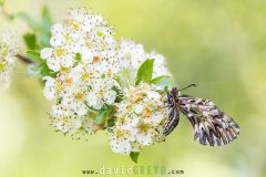 2025-05-21-10-17-06-BR10S3