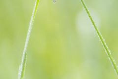 2025-05-21-11-06-55-BR8S4