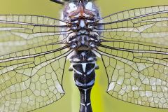 2025-05-21-18-44-59-BR10S1