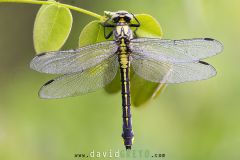 2025-05-21-20-29-43-BR8S4