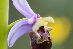 2025-05-22-14-16-37-BR10S3