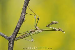 2025-05-22-14-25-37-BR10S3