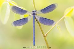 2025-05-22-14-34-37-BR10S3