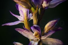 2025-05-22-16-19-41-BR10S3