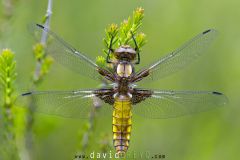 2025-05-22-16-24-34-BR10S3