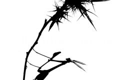 2025-05-22-16-38-05-BR10S3