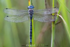 2025-05-22-17-19-37-BR10S3