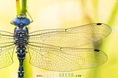 2025-05-22-17-38-58-CS3