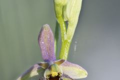 2025-05-22-17-58-05-CS3