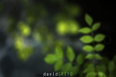 O7A6645