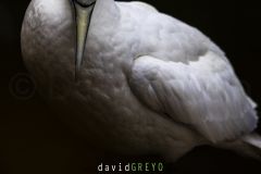 _O7A0246