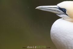 _O7A0341