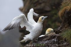 _O7A0696