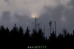 O7A6692