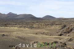 O7A3962-Panorama