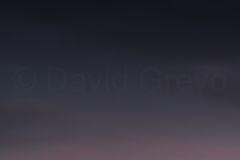 O7A6662