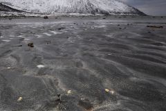 2025-03-31-08-36-54-BR8S4