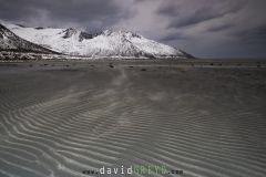 O7A0176