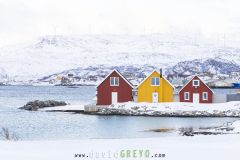 Rorbus colorés