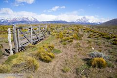 Pâturages de Patagonie