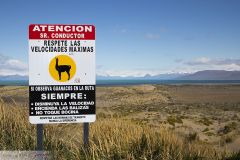 Panneau Guanaco