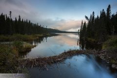 Barrage de castor sur le Petit lac Cascapédia ; Beaver dam